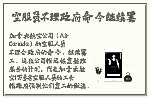 翰林府售楼女销售在线观看